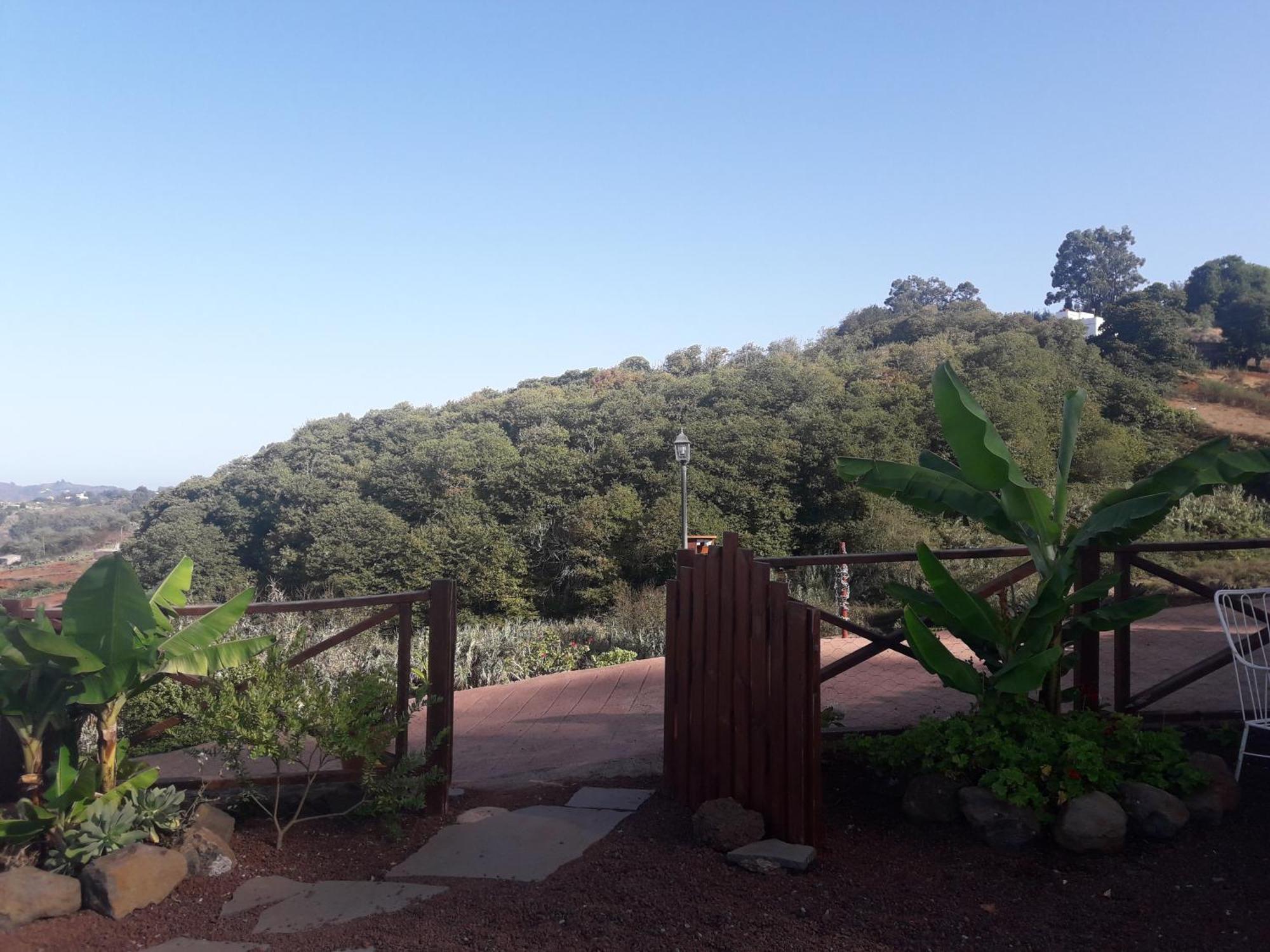 Finca Naturacanaria Moya  Exterior foto